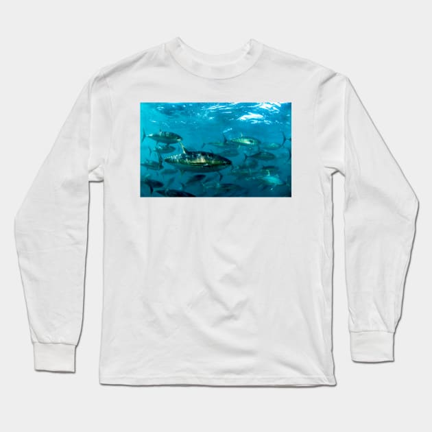 Yellowfin tuna (Z605/1620) Long Sleeve T-Shirt by SciencePhoto